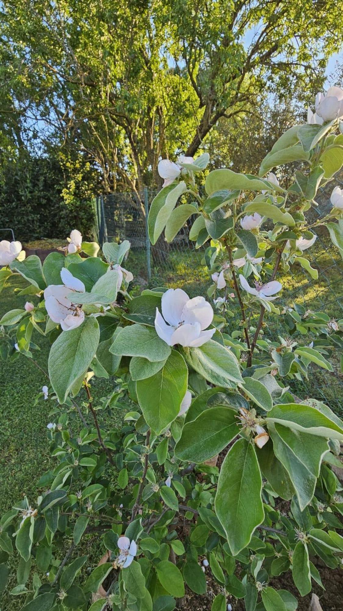 Appartamento Casa Da Billy Pola Esterno foto